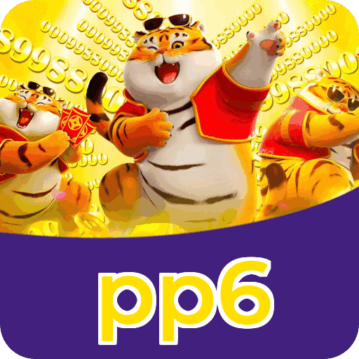 Métodos de pagamento aceitos na pp6